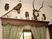 rd-hradec-kralove-019.jpg